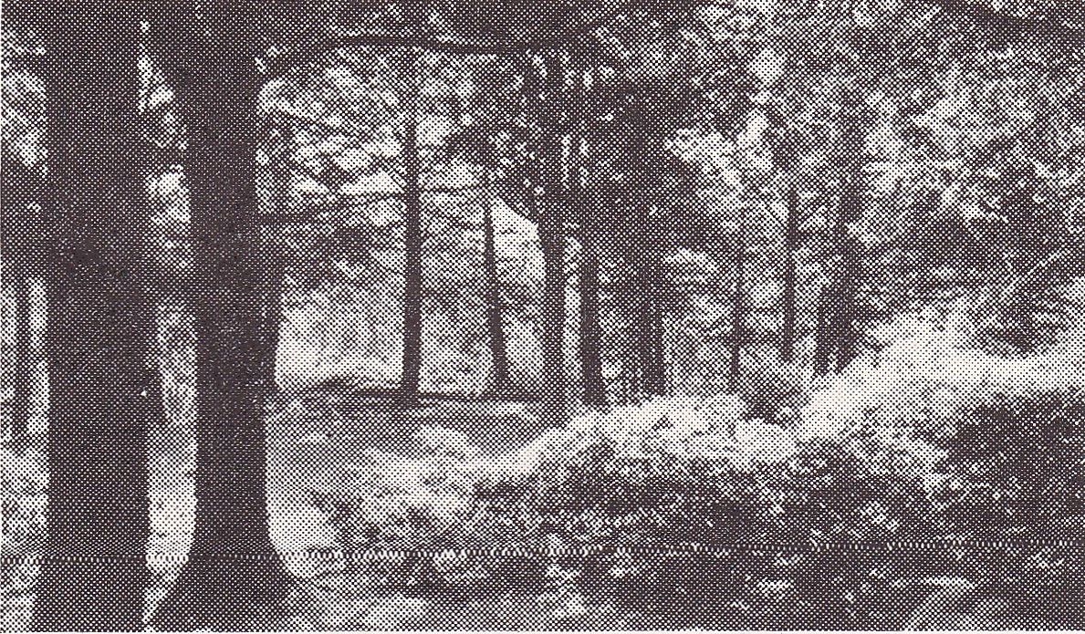 226166-Bolleswood.jpg