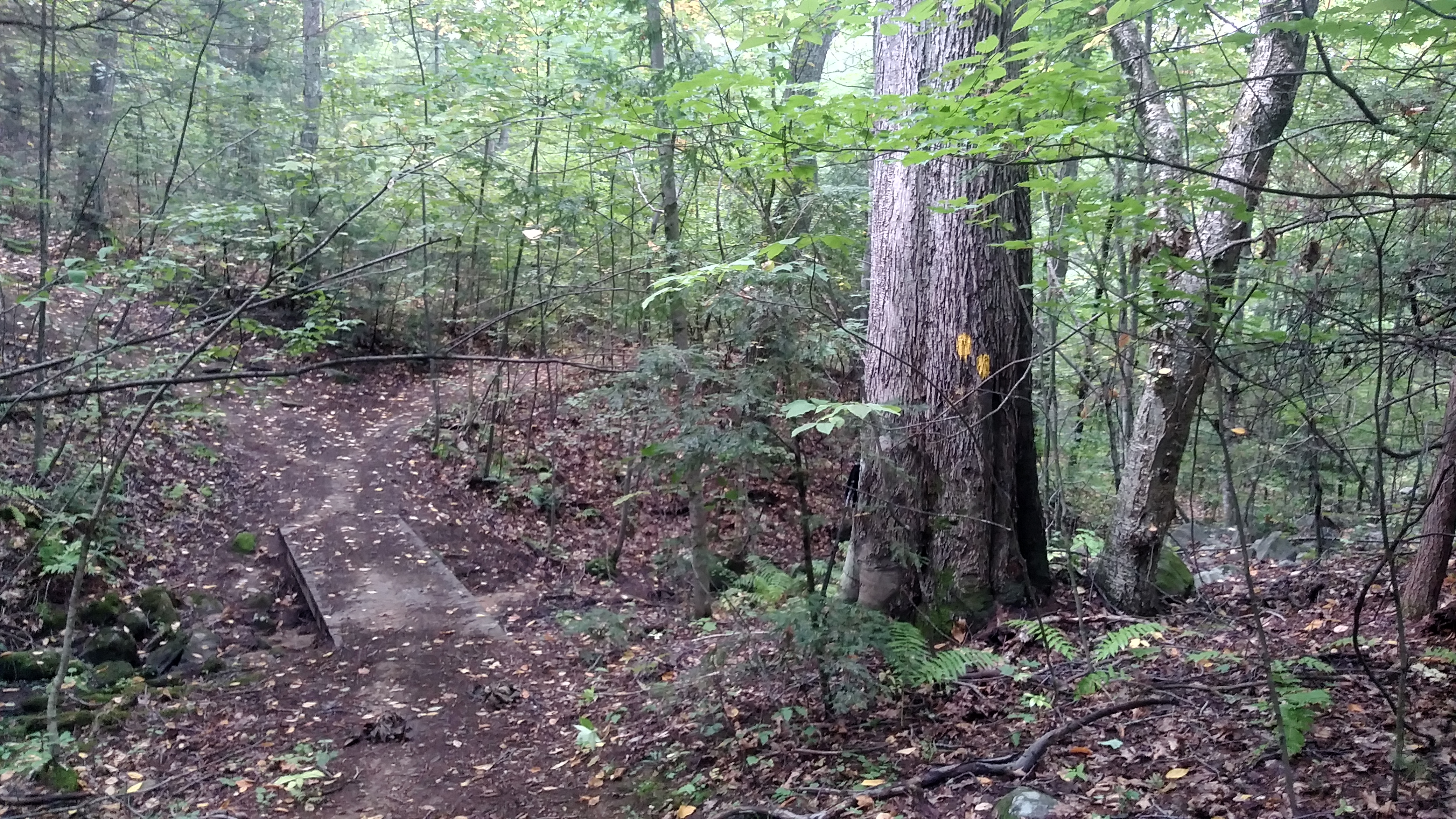 226321-20190924_111955_HDR.jpg