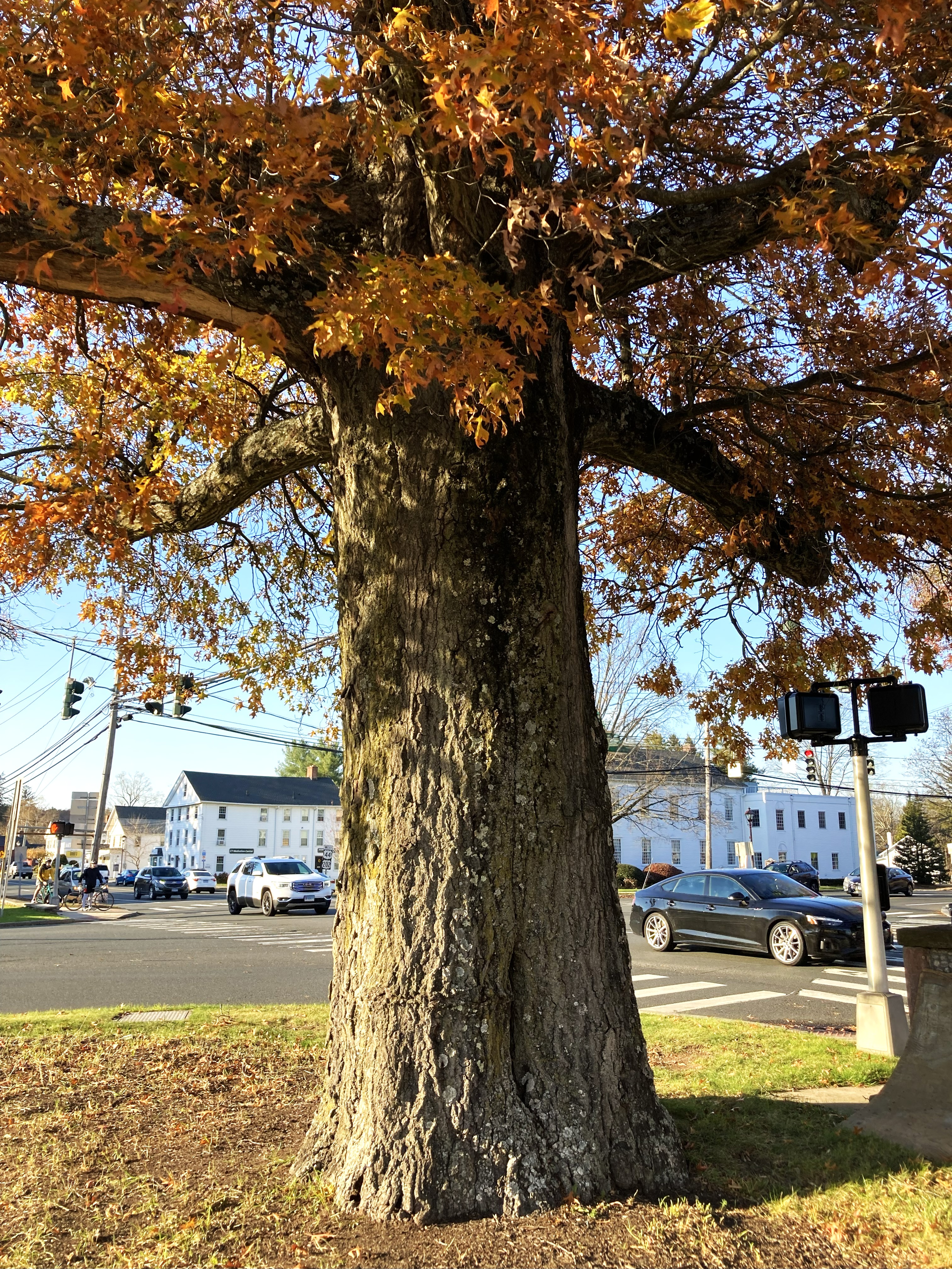 4001-IMG_8743.jpg